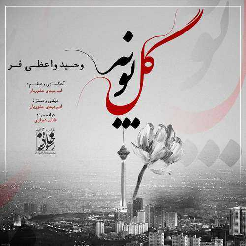 وحید واعظی فر گل پونه